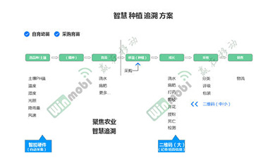 茶葉防偽溯源系統具有哪些優勢價值?